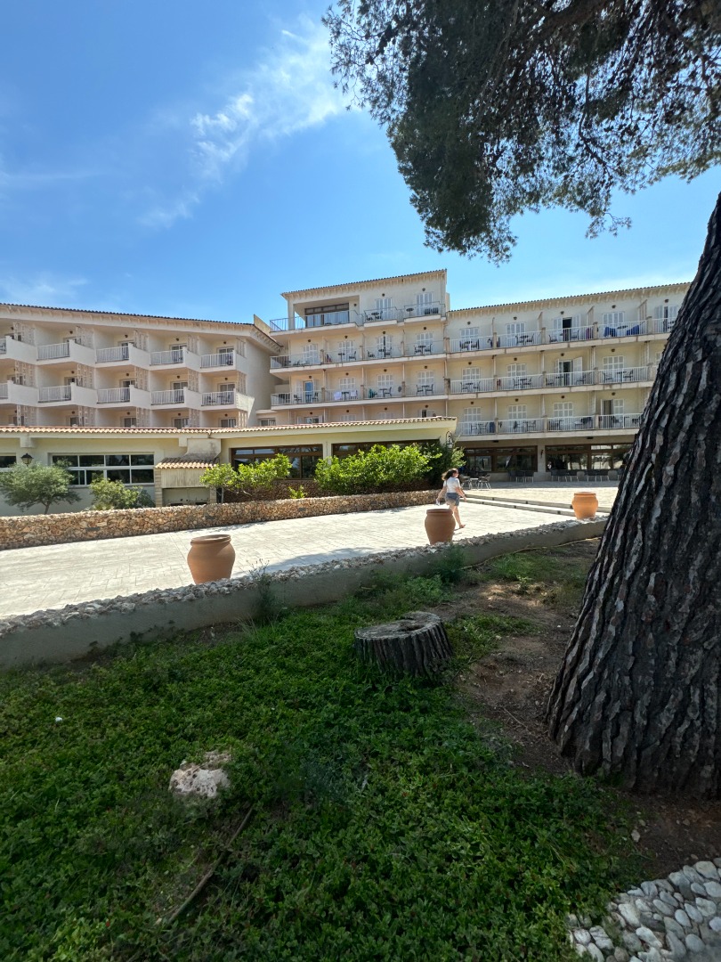 Palia castell dels hams