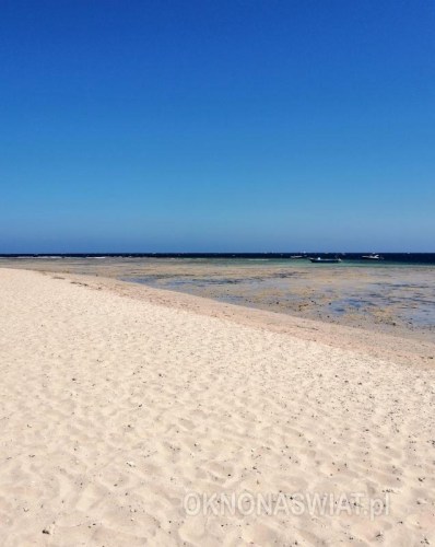 0281761377c1c90e2936faf08b6f5e495b723c23