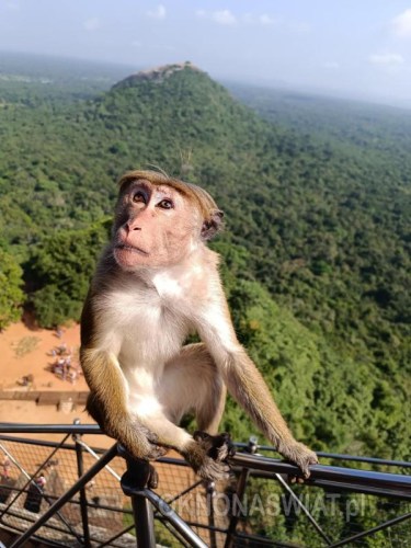 06996474252762af19bc8208b29eb5f3bf8cad9c