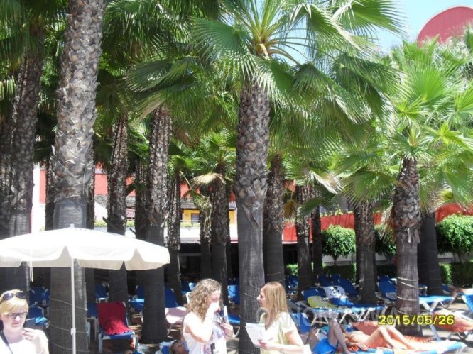 07fe7876750ccd8677884d6832602f7f102df3af