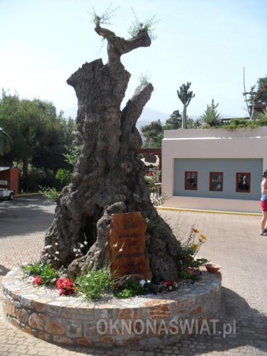 09465acf7358e53a8389050c4bb0fd64716d72bb