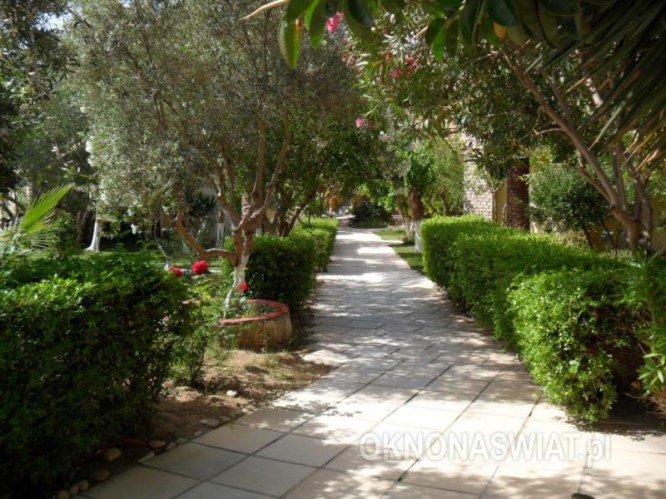 0b5d52ee0a836a4108bef343b182c47505cf181c