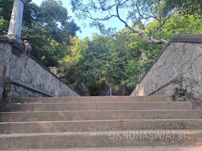 0cb59129a6d9e718c0271f80b8d61b42f642da82