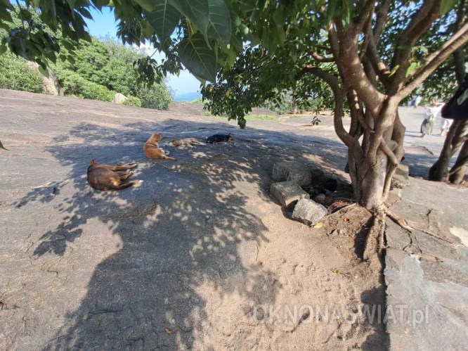 1b41894846c45097f36eeed8a7158b6da954fbd5