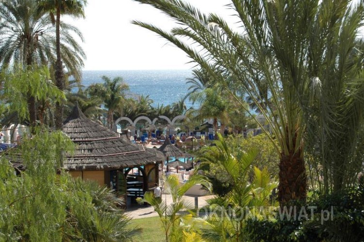 1e7c47a7f6ef36632447505ebc039326836e9a04