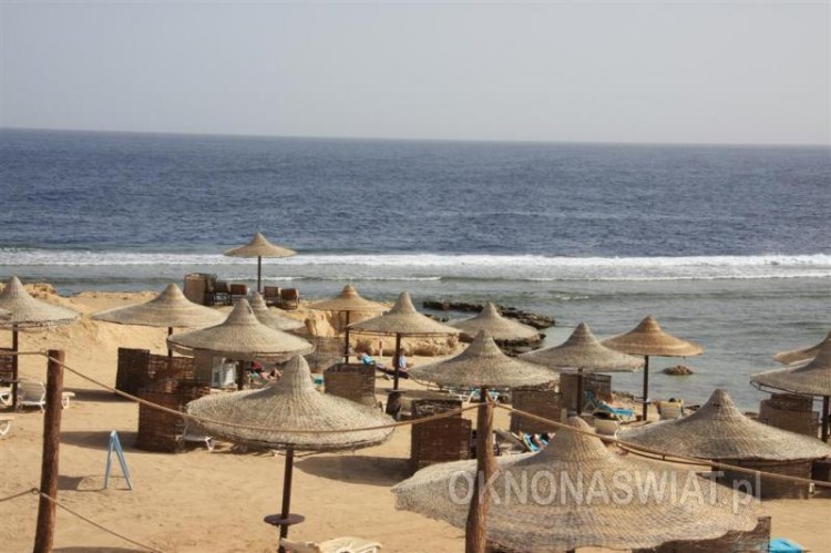 21ea6d96950df2f01edfce010890469a73c6be66