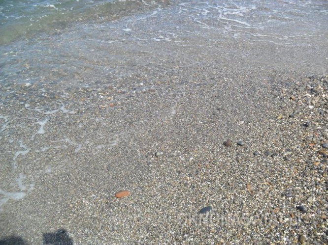 287e8833fb26aaf046063ca68ffe56024526a9a6