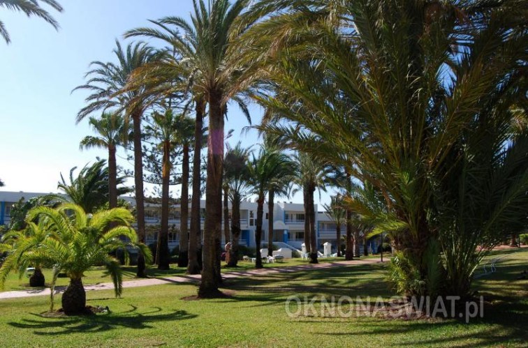 2aa53cf21501febc55e0ef4f41fa96bddb5aa2aa