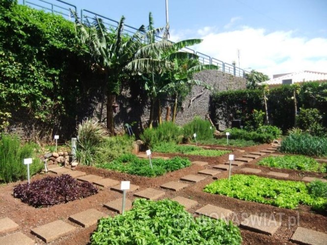 32c63839f04fba6dd412d594896c87e76d8b5ad6