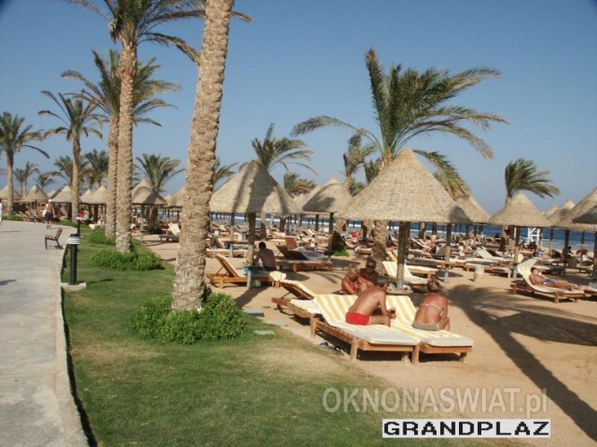 352bb97e92eeb6c3edd745992d01029196e56253