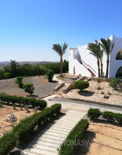 37230d3a6d4d532d4c119c5d767a4a5d243e02e4