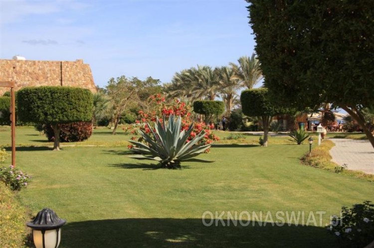 4043494e64746e9b067f94526e3e0e4290c745d8