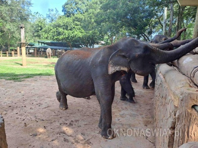 43042757ab42ccc323d990bba617aea712b69b7f