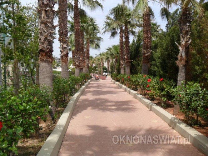 4327e948eba1f7ea503237d79fe89291ae61d8da