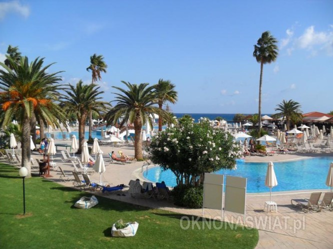 446d2a059095499dee5da4296224d4f077624974