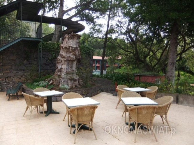 46e0df2ab2a3409d858553ce8e48670c0a76e9d8