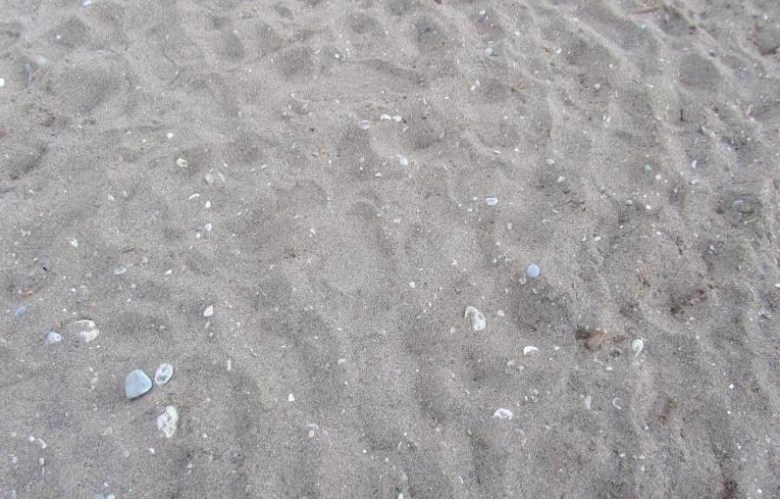 486c2082d0ec555fc6e2eb3939a52a7db69c4272