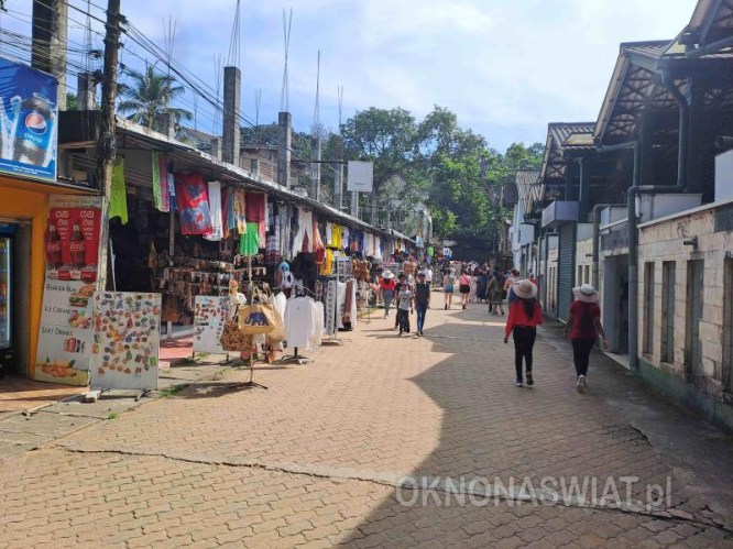 487efc74581edc28939a2fbfbf3337d6516d6a98