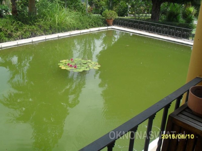 4ca68984b5d77c15de18142b9fd86391c305f66c