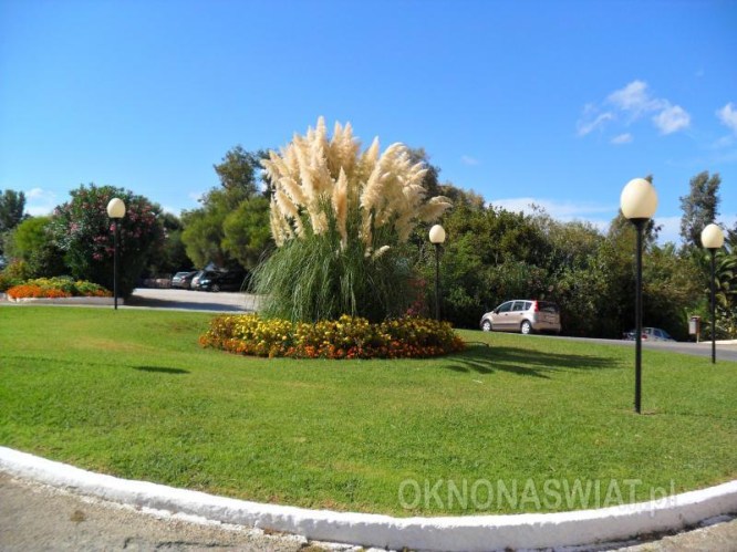 503f06eaf37e866c3cddd6d39269d0ef02c7fd8d