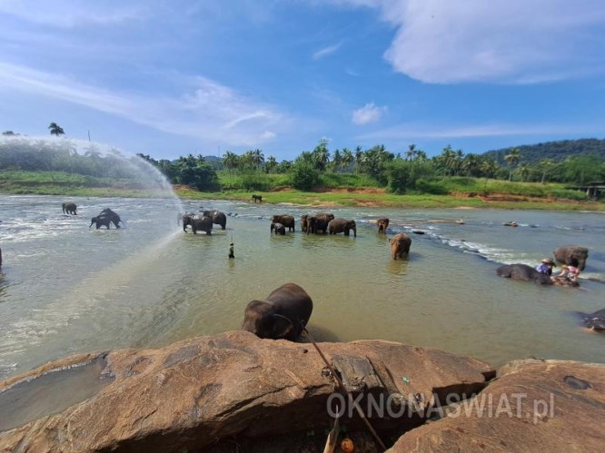 50baafa5360164d760c8e3ef39e93aaf50e5b36f