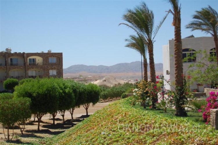 51392fa35ada5ea4b8db3f801983eaec9481cab0