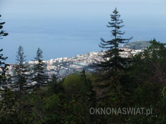 5179b52a2ea1162319ce9edd3e331d8e7fec6570