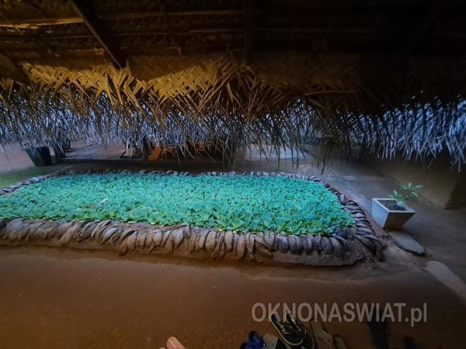 54c83feac646cb01d5ecc1e6e6fc208875a34f27