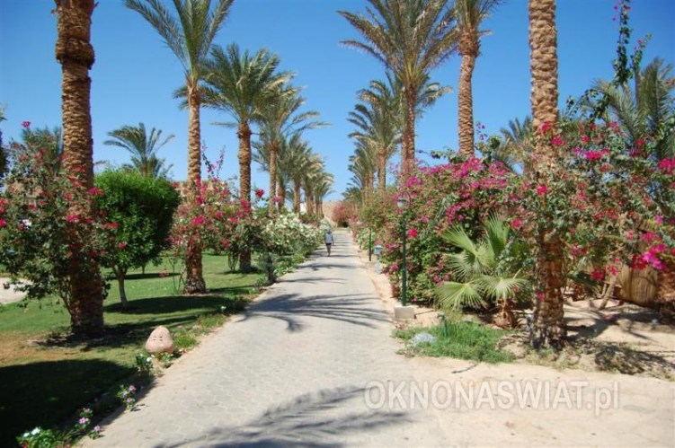 5c4a70c7e34102db370cfc2ceb7477e23c1258d0