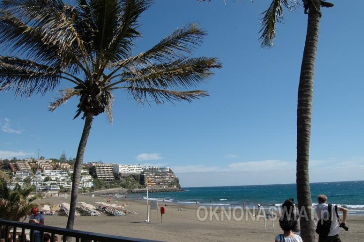 5cf4e8667a20c70389499fcbd09c9bb4d6dc8ddf