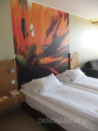 5d583c21f1f5d12d676f2b24ca1c125025eaddd7