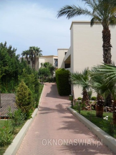 6afe9c36f3d6d508aa67b12129fc3e86cdf5055a