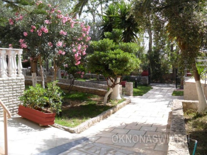 6e602567fd06cf915a11a99b52d3dcae6841dd2b