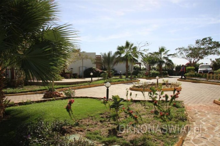 713fc33204fb19796b5ef831c763374ea832499a