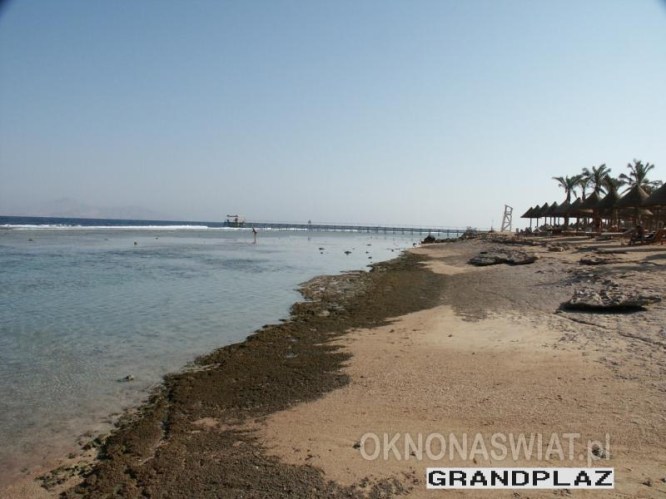 727b175c8c1eee82ffe684e973ab10b6d3e52738