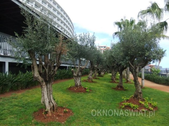 7463df2ad379ba351bf1f48e81ed7205a4785070