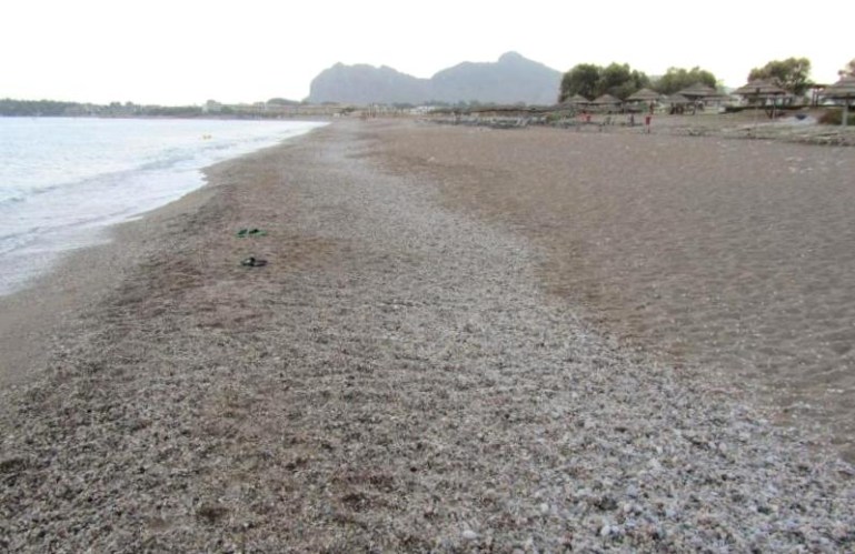 7d60642a6aa524f0b2a27da1573936fb22fb00b3