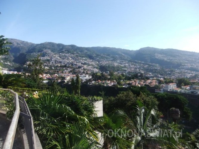 7fba08c7baf9f3a215f6b632f9d36bf15145e47e-1