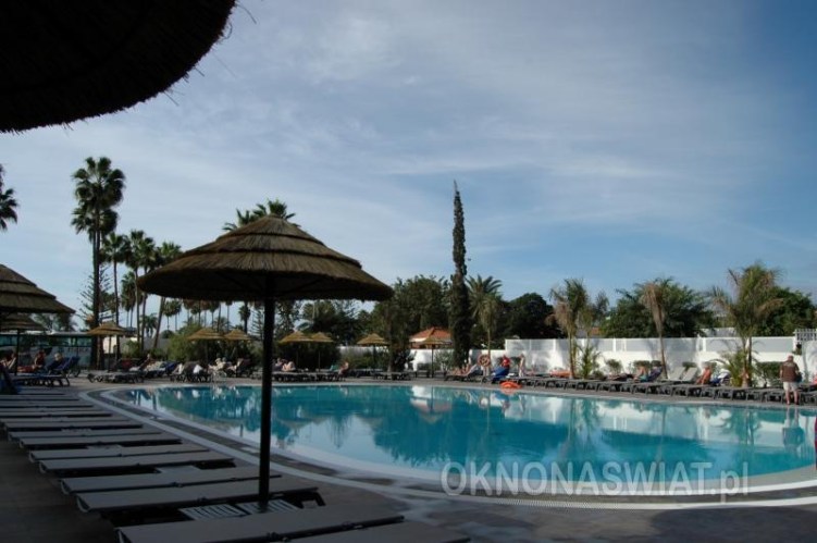 8a32b90a1cc24c0a007c226302ac7d9e6d242d73