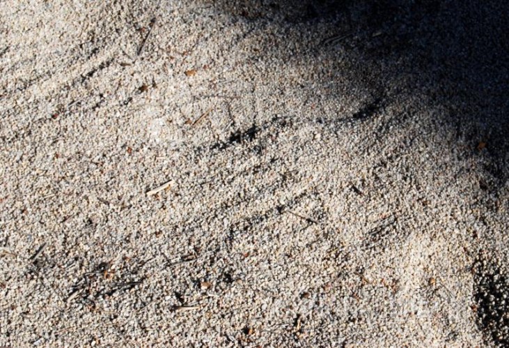 8aa0653319b86b498ce169d66383219c67dceb72