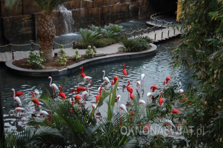 8b8b1cdeb8f9667ac7f78959f420b7fccf97cf30