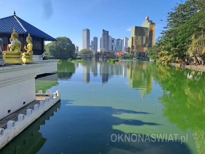 8c5a24a45df1dd68cabbed230170d0304c710513