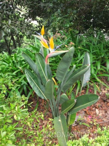 8da7a0f61836536cc6c7548d1ab646a4774e4a1f