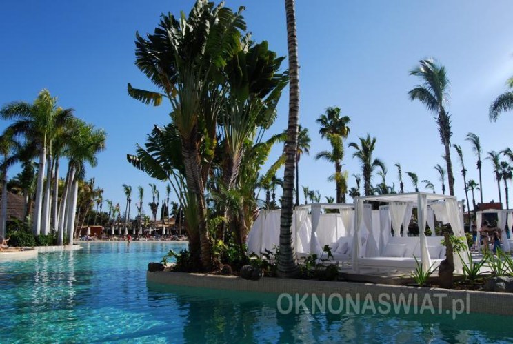 92e1c3eea72cdb8b2d2063dcc4407cd0a52dfe82