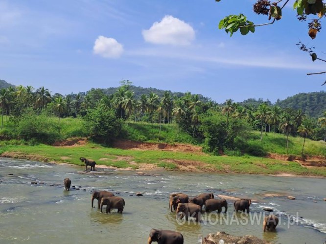 963398dc53d780f96c8515aa830a8a9d18254ff2