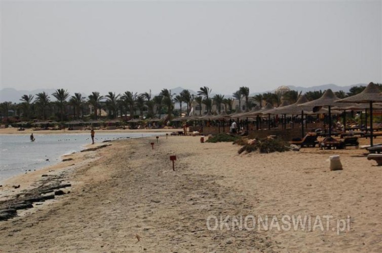 989b18bf28bbe5e218dae3cc815ee64461cbc788