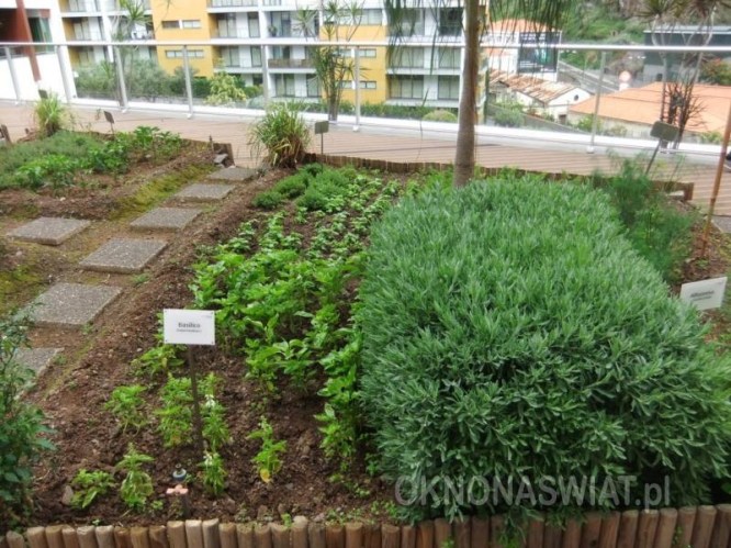 9962e3c6c89eb4103caf7bb6904469cc723132df