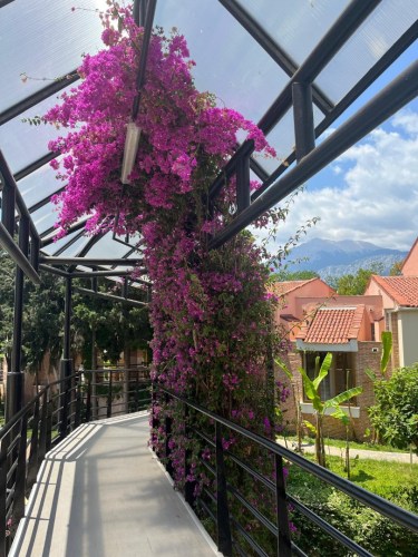 IMG-20250530-WA0190-2