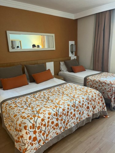 IMG-20250530-WA0223-2