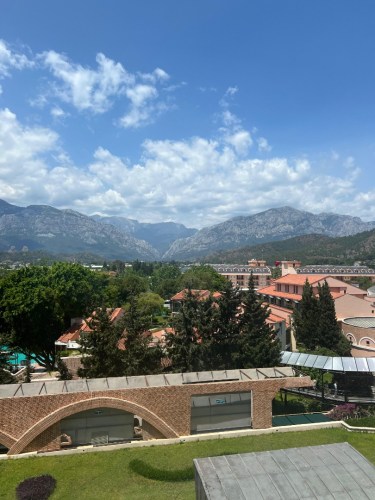 Zdjcie_WhatsApp_2025-05-30_o_22.23.30_7acf32bc-2